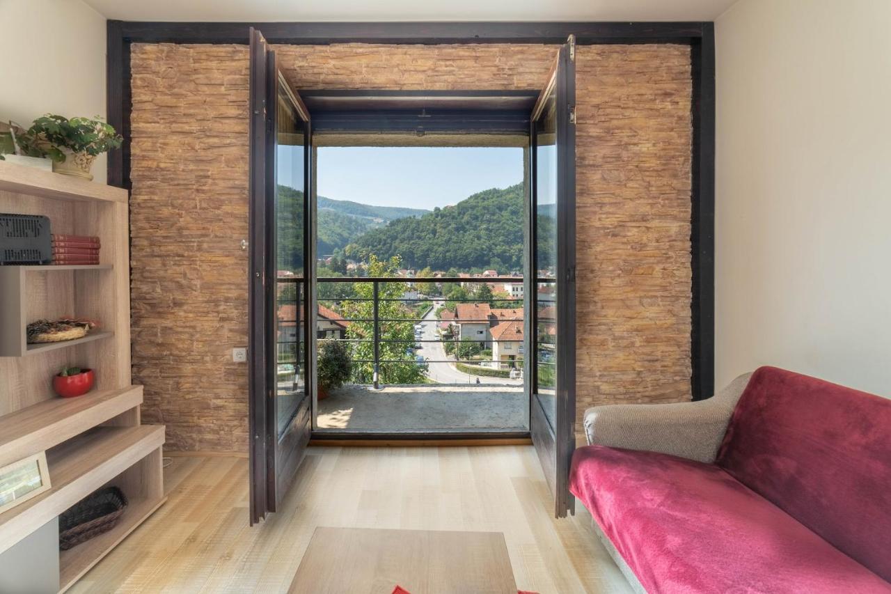Vidik Apartment Ivanjica