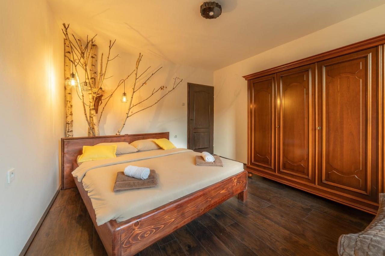 Vidik Apartment Ivanjica
