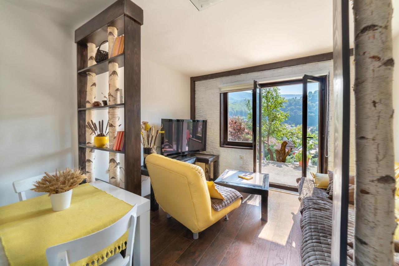 Vidik Apartment Ivanjica